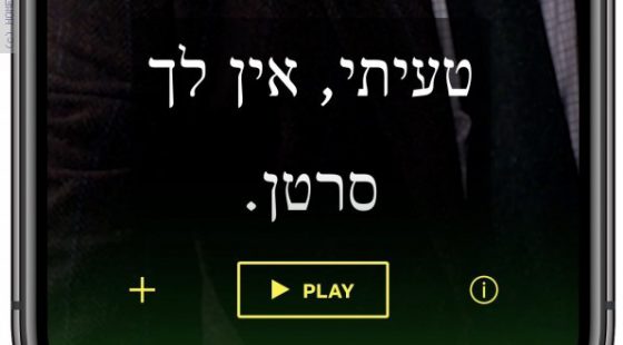 מדריך תרגום בנטפליקס – איך תסדרו את הגופנים?