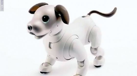 aibo – הכלב החכם של סוני חוזר עם בינה מלאכותית