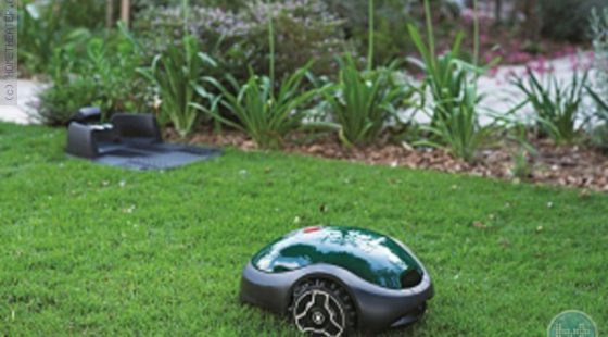 מותגים נוספים ורובוטים חדשים בחברת RoboTeam