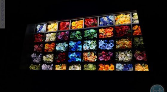 OLED: תמונת מצב שוק המסכים
