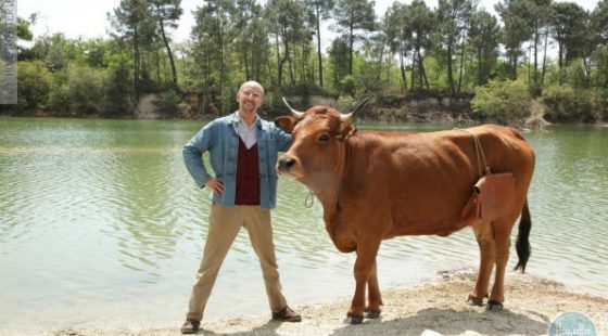 ביקורת: סרט לסופשבוע – הפרה ז'קלין (La vache)