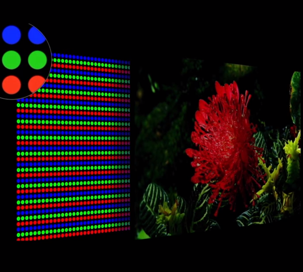 סמסונג חושפת עוד מידע על טכנולוגיית microLED ו-Quantum miniLED